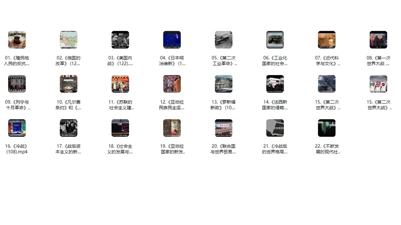 看动画学历史九年级下册（22集）