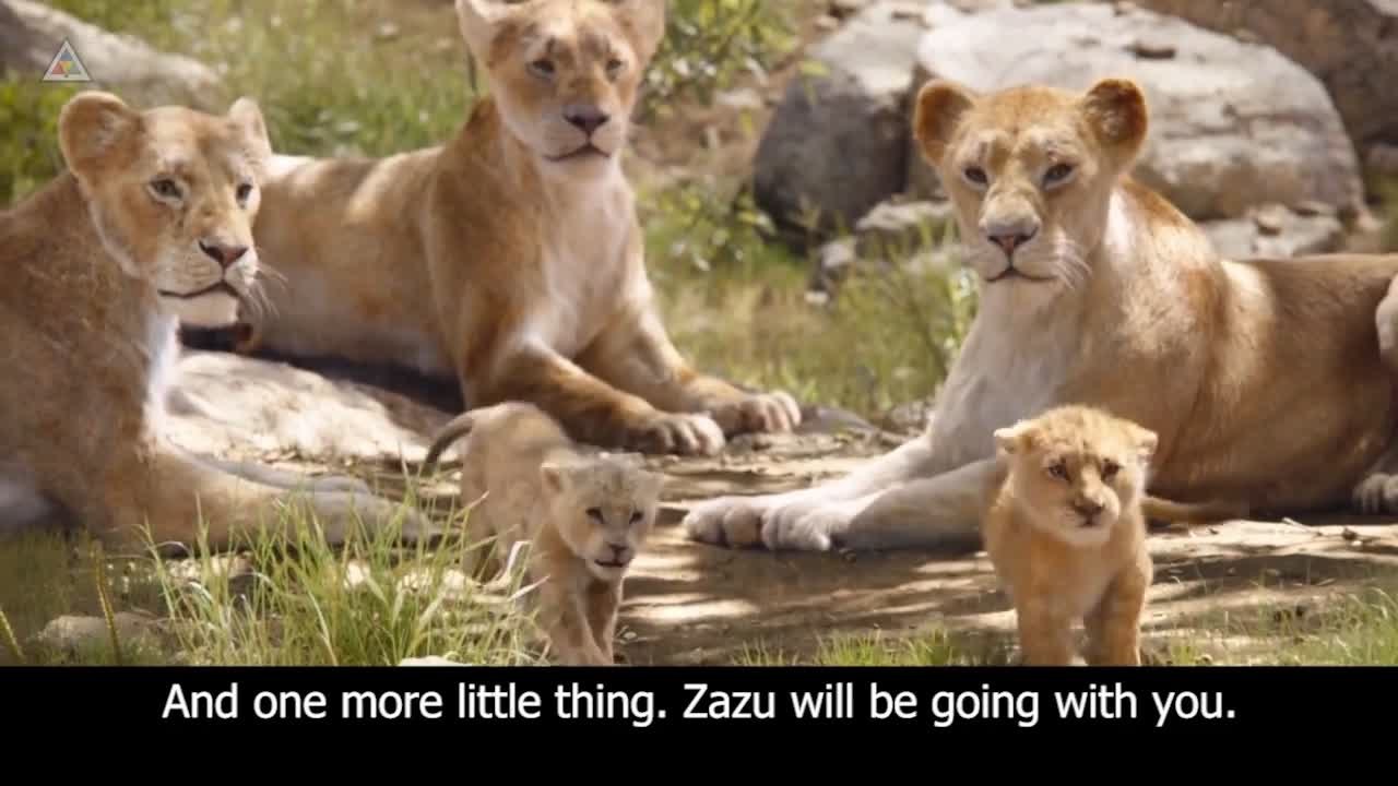 Sunny老师讲英语《看电影学零基础英语 (四维系